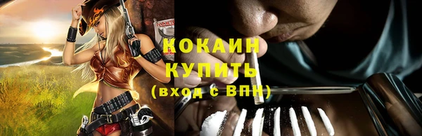 PSILOCYBIN Вяземский
