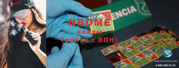 стаф Горняк