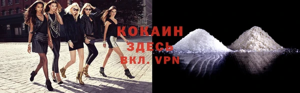 стаф Горняк