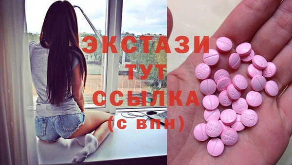 стаф Горняк