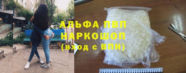 стаф Горняк