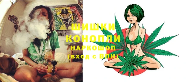 МДПВ Горно-Алтайск