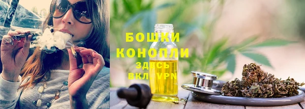 МДПВ Горно-Алтайск