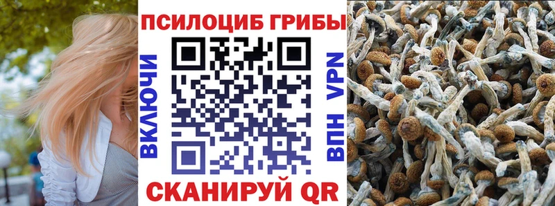 Купить закладки  Остров  Галлюциногенные грибы Magic Shrooms 
